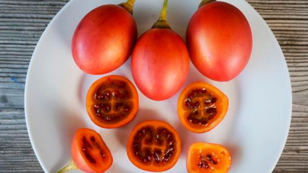 Identificación del Tomate de Árbol en Honduras