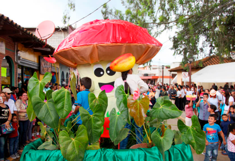 Festividades de Honduras Explora su Mundo de Tradiciones y Celebraciones Inigualables